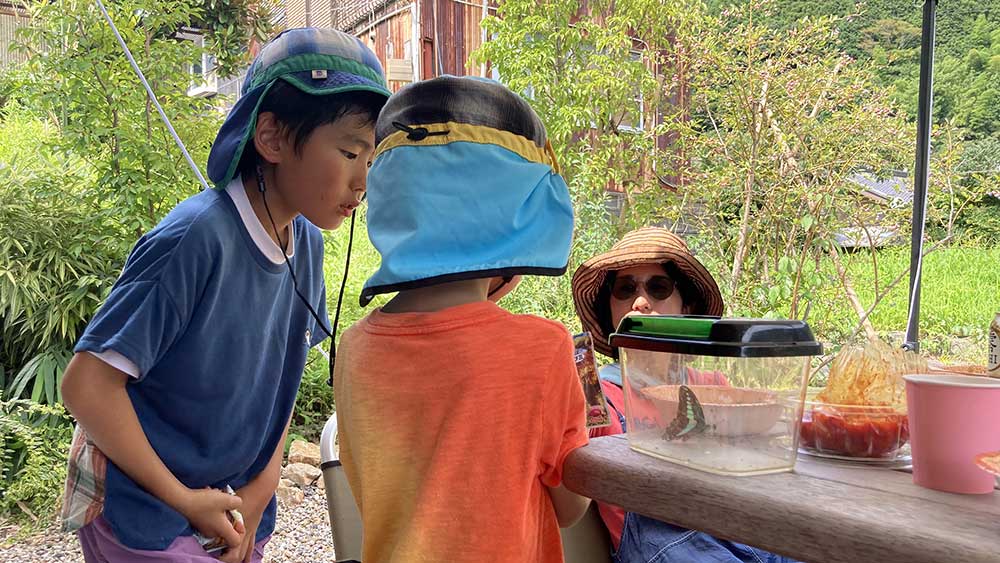 周りの草原で虫をつかまえて遊ぶ子ども達。